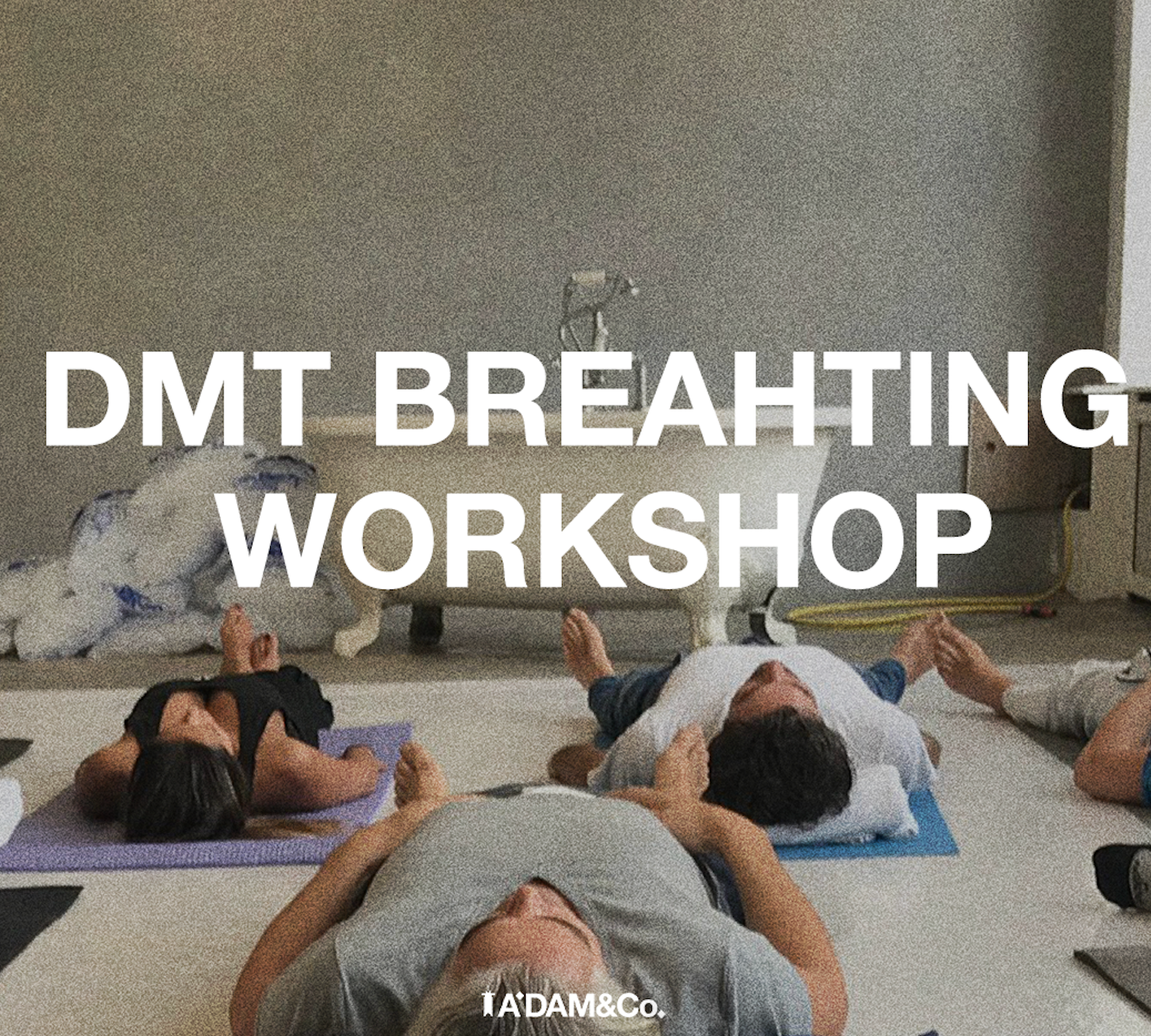 DMT Breathing Workshop