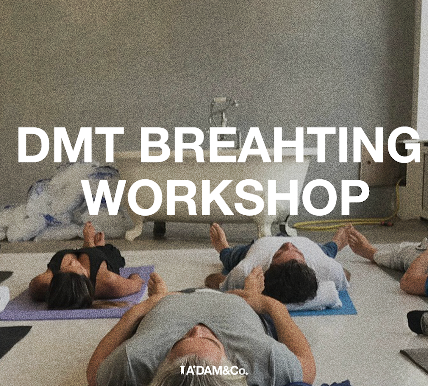 DMT Breathing Workshop
